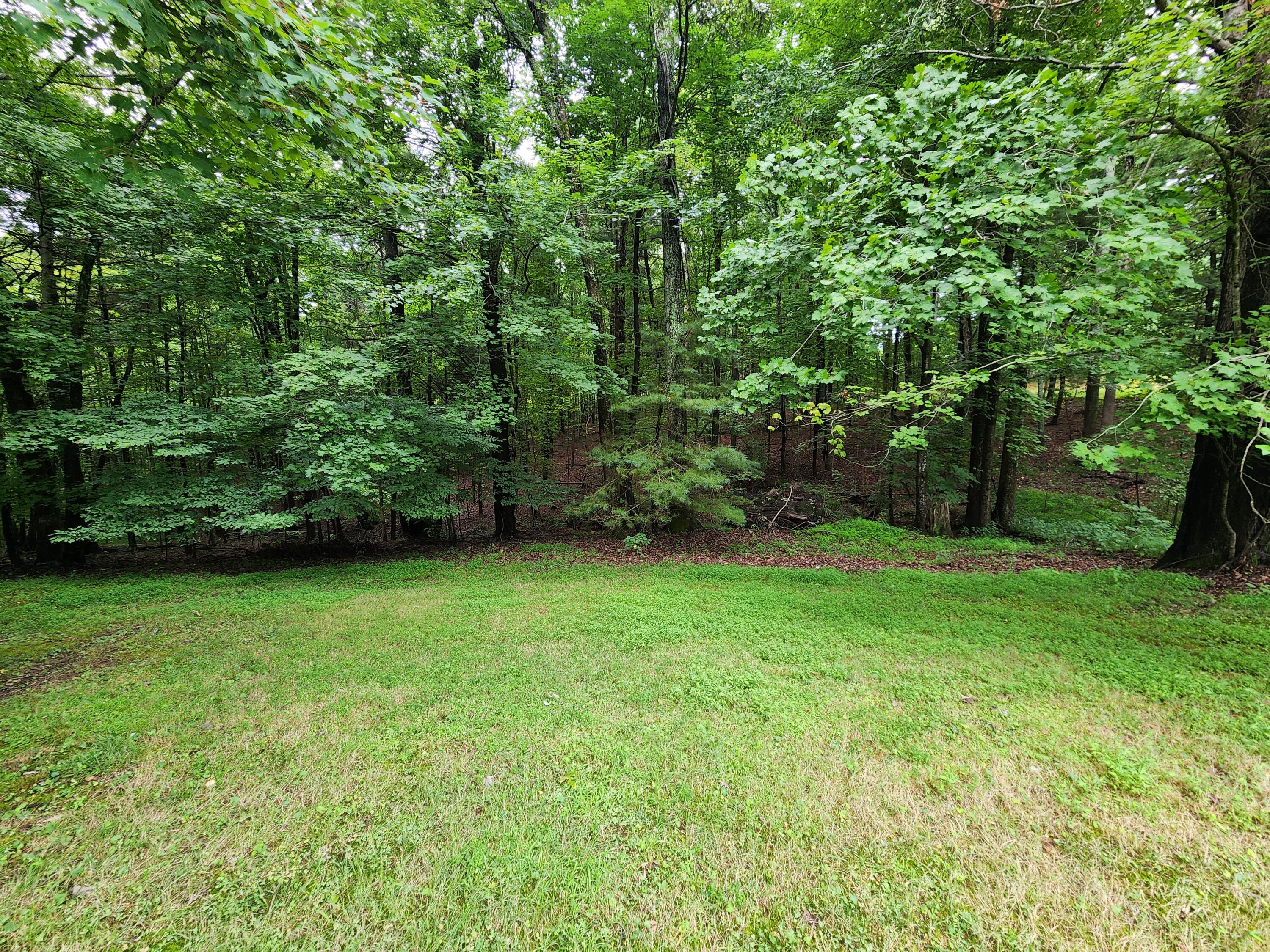 696 Double Branch Road Rocky Mount, VA 24151 - Photo 29 of 34 Back Yard