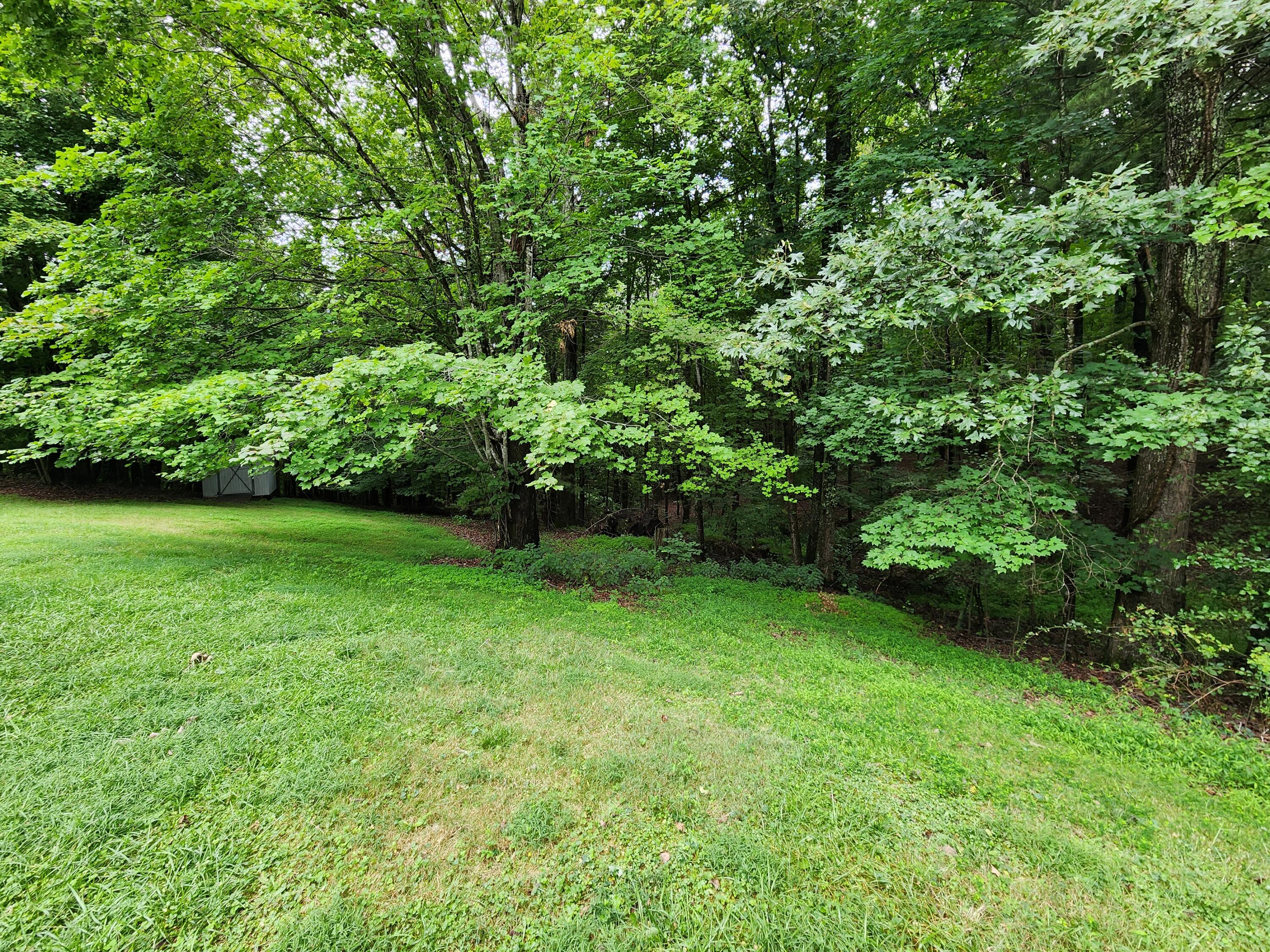 696 Double Branch Road Rocky Mount, VA 24151 - Photo 3 of 34 Nice Setting