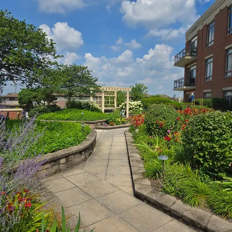 a view of a garden with a pathway