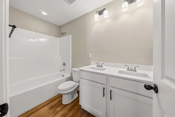 a bathroom with a toilet and a bathtub