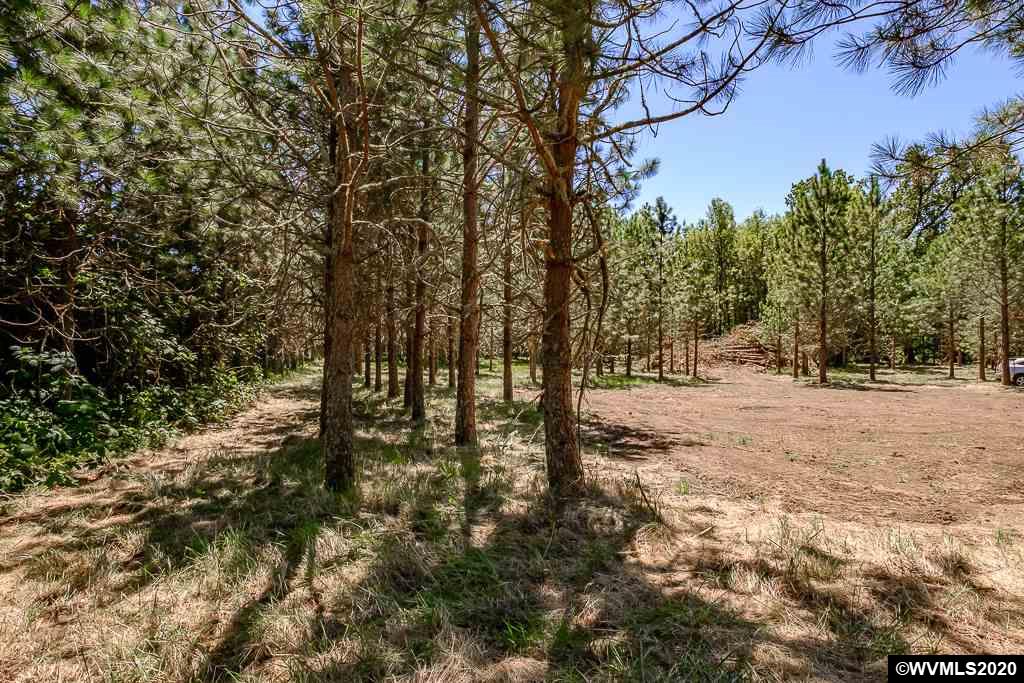 37891 Hungry Hill Road Scio, OR 97374 - Photo 15 of 38