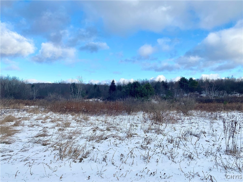 4 County Route Fulton, NY 13069 - Photo 4 of 6