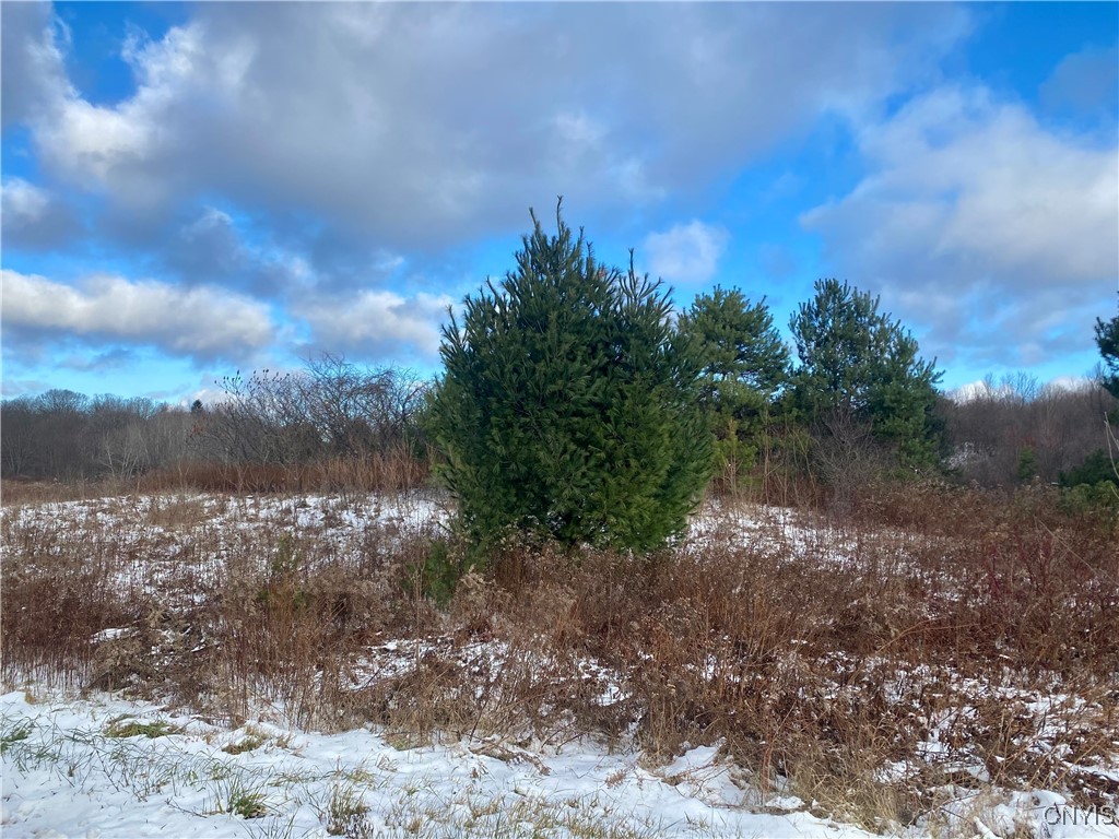 4 County Route Fulton, NY 13069 - Photo 5 of 6