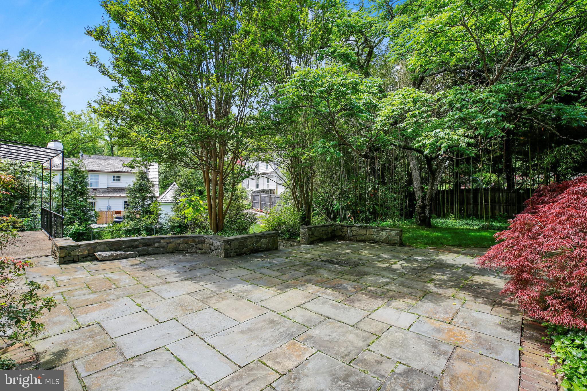 7125 Darby Road Bethesda, MD 20817 - Photo 16 of 64 a view of a backyard with potted plants and large trees