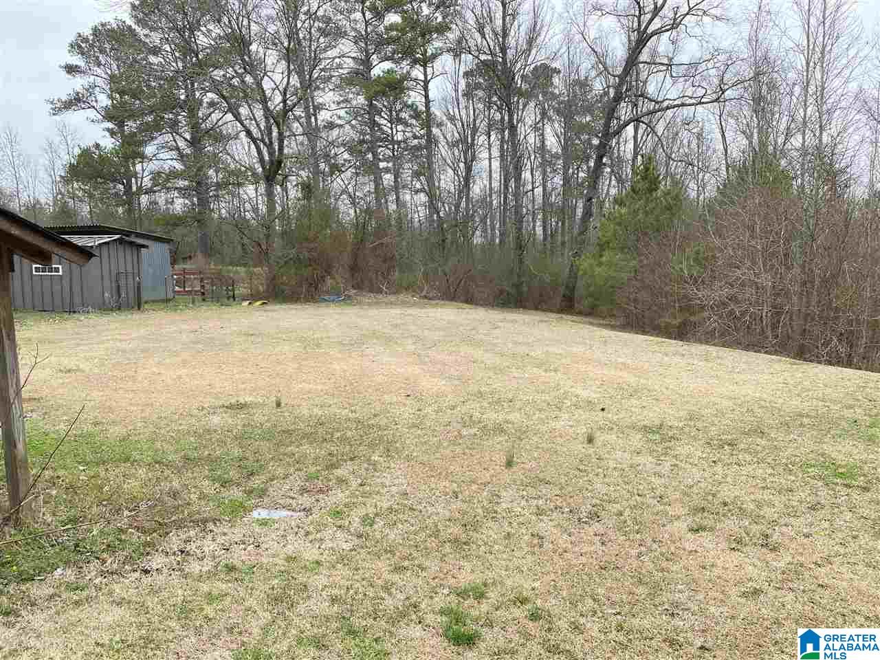 659 Maddox Farm Road Odenville, AL 35120 - Photo 7 of 41