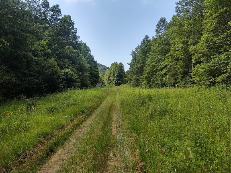1200 Clearfork Road Morehead, KY 40351 - Photo 76 of 86 Photo 76