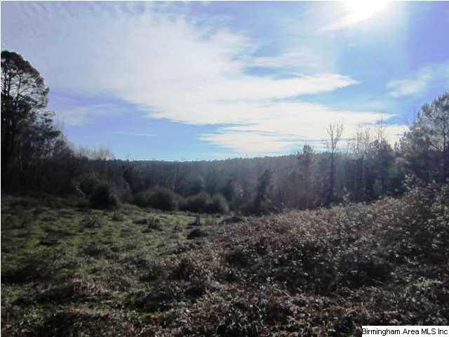 Blakes Ferry Road, Unit 80 Lineville, AL 36266 - Photo 8 of 8