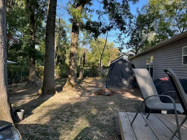 a view of backyard with green space