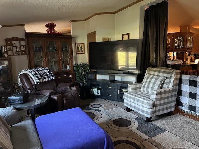 1198 Old Porter Road Porter, IN 46304 - Photo 4 of 22 a living room with furniture and a flat screen tv