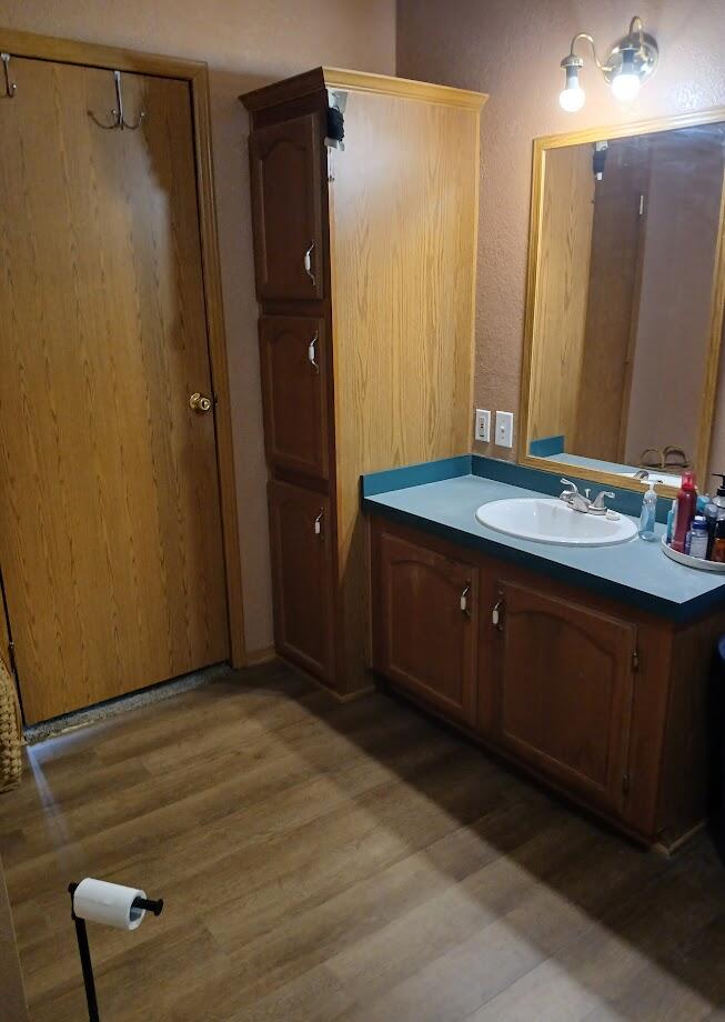 1198 Old Porter Road Porter, IN 46304 - Photo 10 of 22 a bathroom with a sink and a mirror