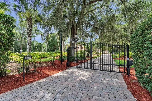 a view of a garden with a fountain