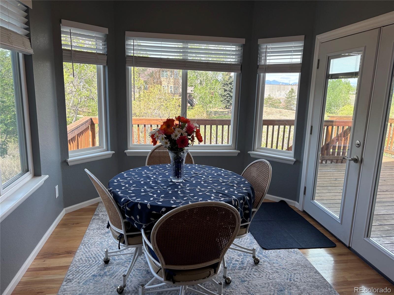 9033 Edgewood Street Highlands Ranch, CO 80130 - Photo 5 of 10