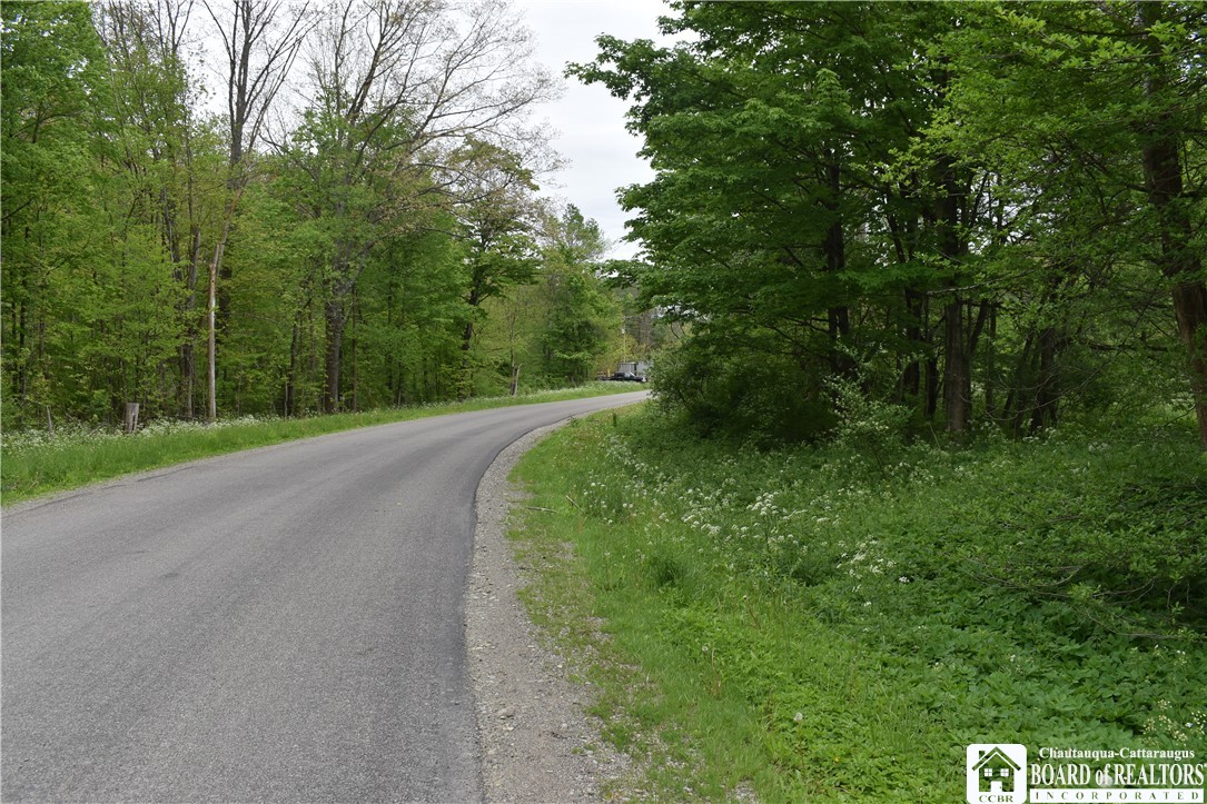 0 Harris Hollow Road Gerry, NY 14740 - Photo 23 of 23