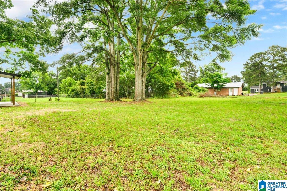 109 Lilly Street Clanton, AL 35045 - Photo 6 of 28