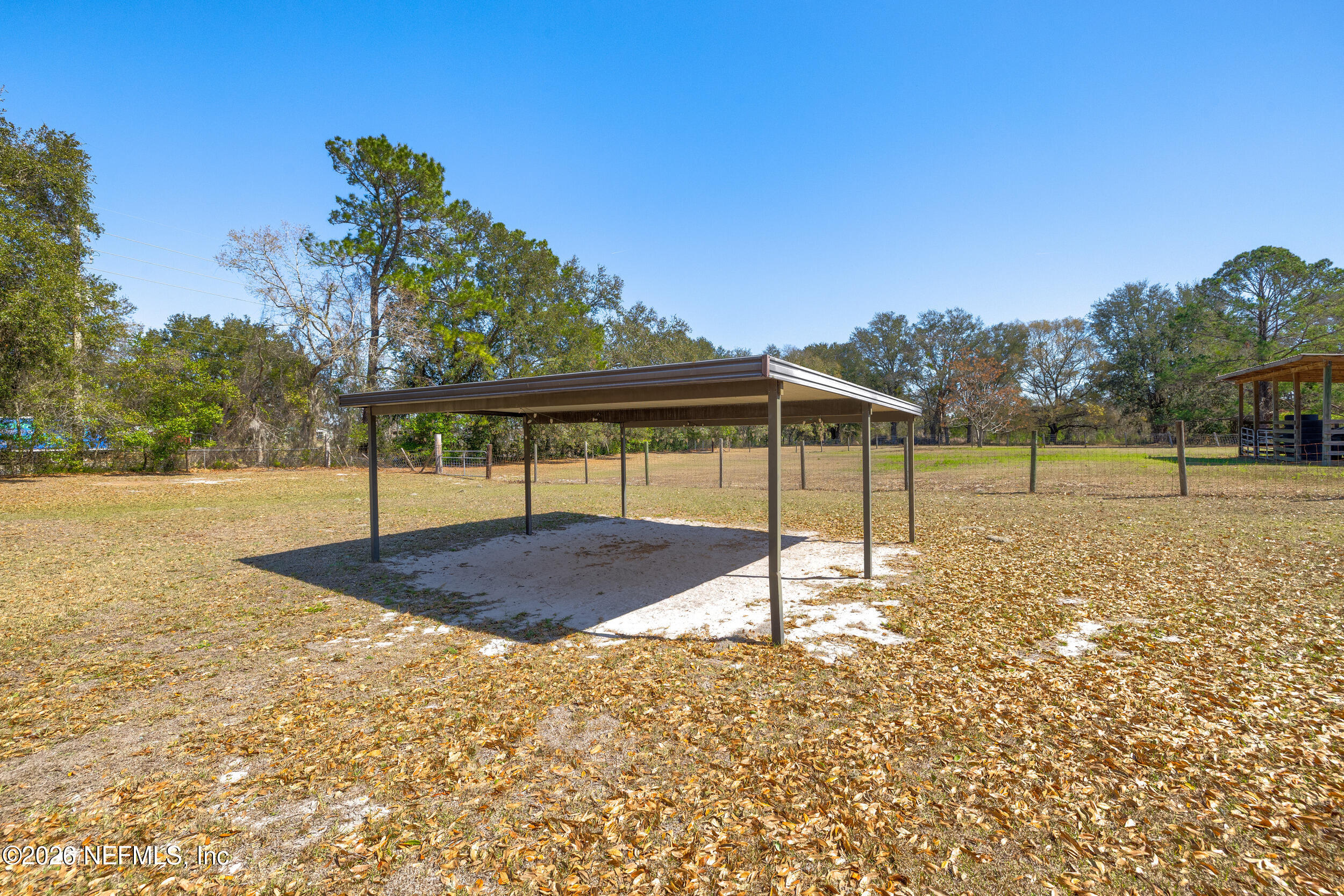 4065 Magill Road Jacksonville, FL 32220 - Photo 41 of 42 a view of a big yard with a tree
