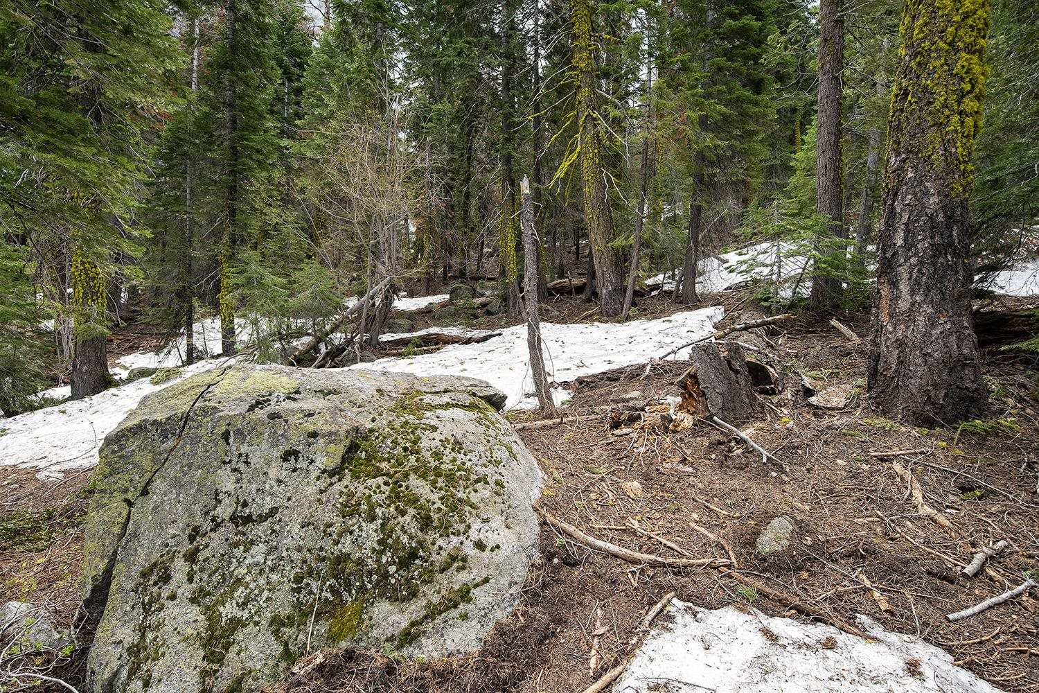 14601 Mt Judah Drive Truckee, CA 96161 - Photo 11 of 21 a view of a snow on the trees