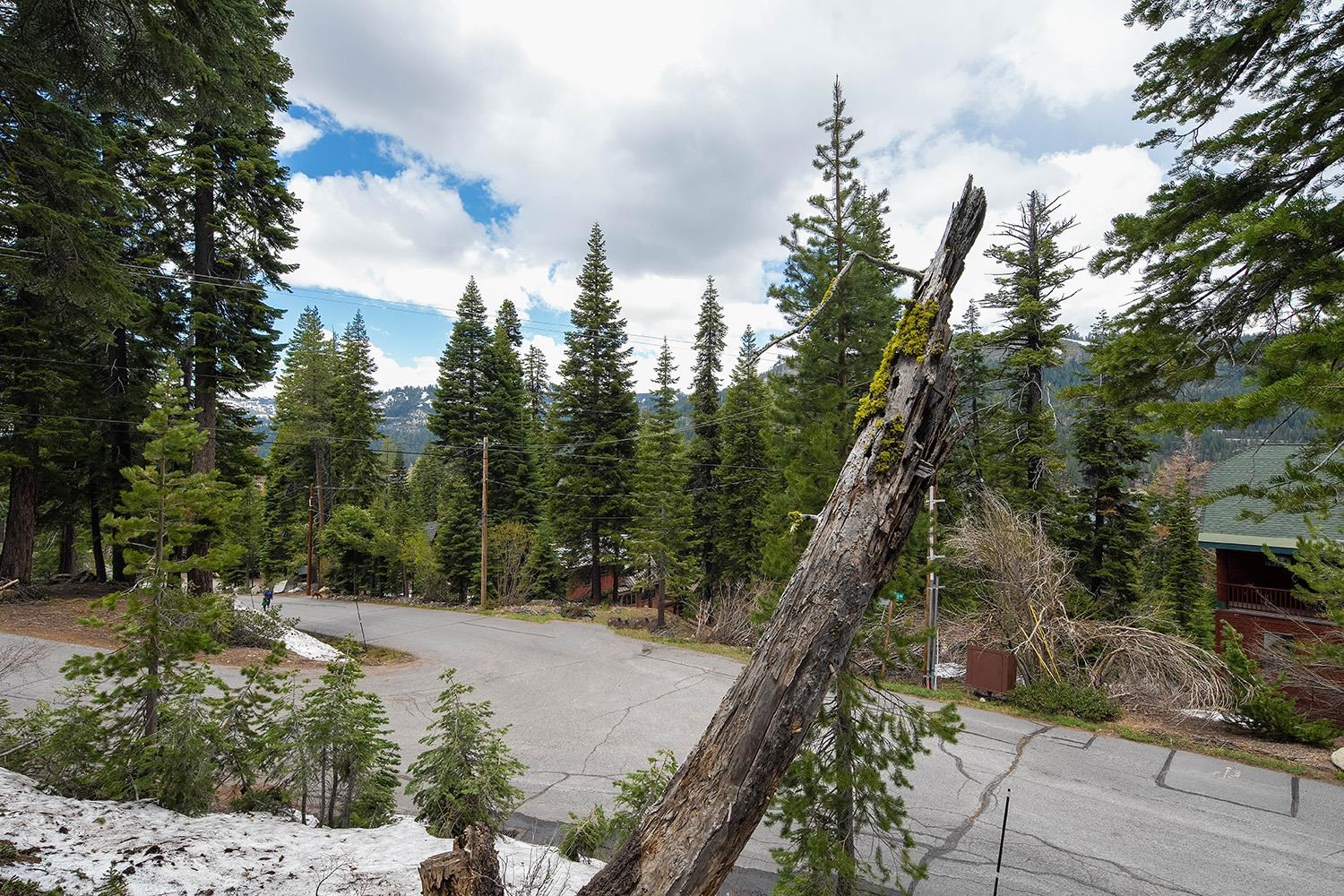 14601 Mt Judah Drive Truckee, CA 96161 - Photo 12 of 21 a view of a yard with plants and a bench