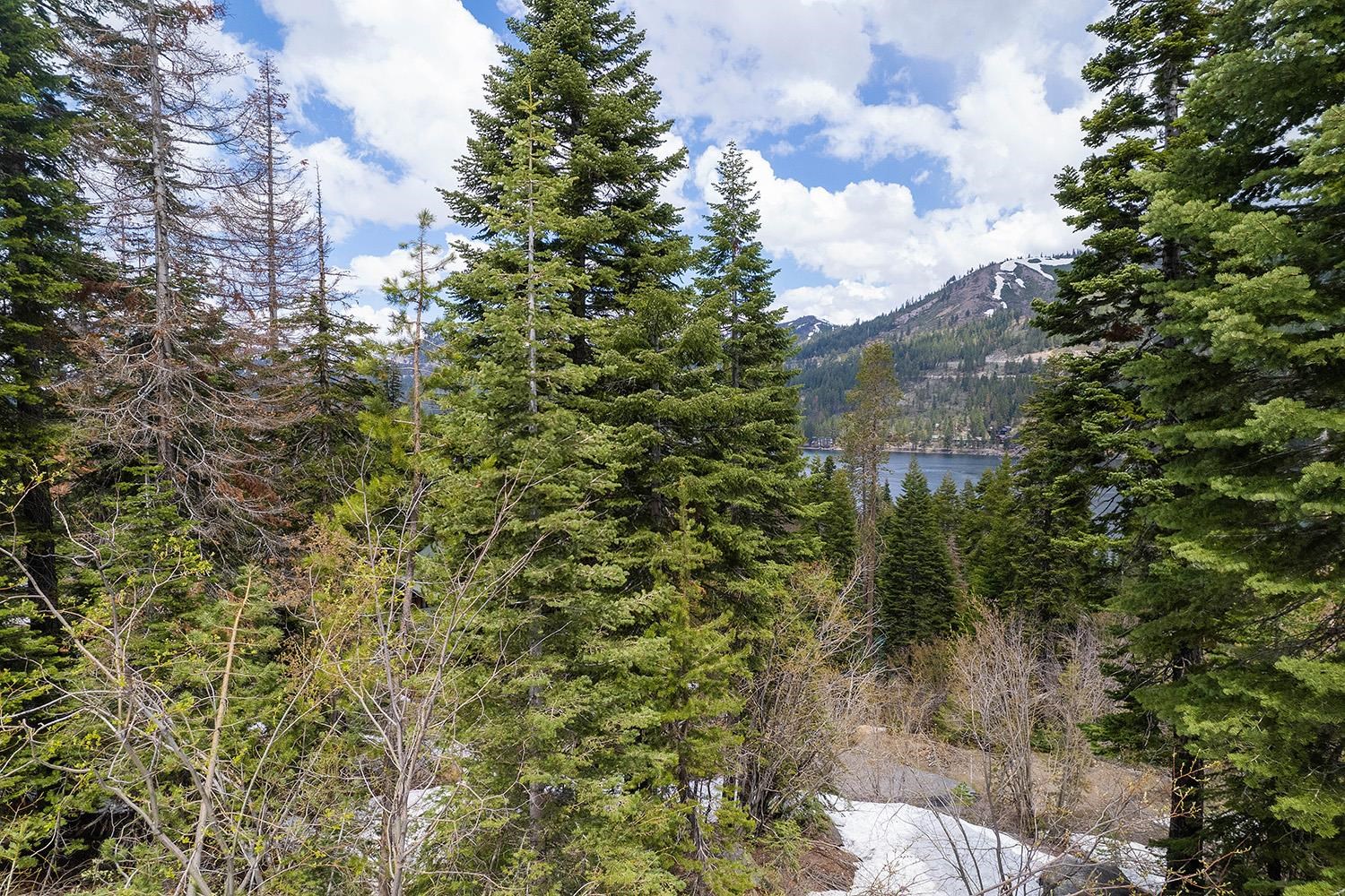 14601 Mt Judah Drive Truckee, CA 96161 - Photo 16 of 21 a view of a yard