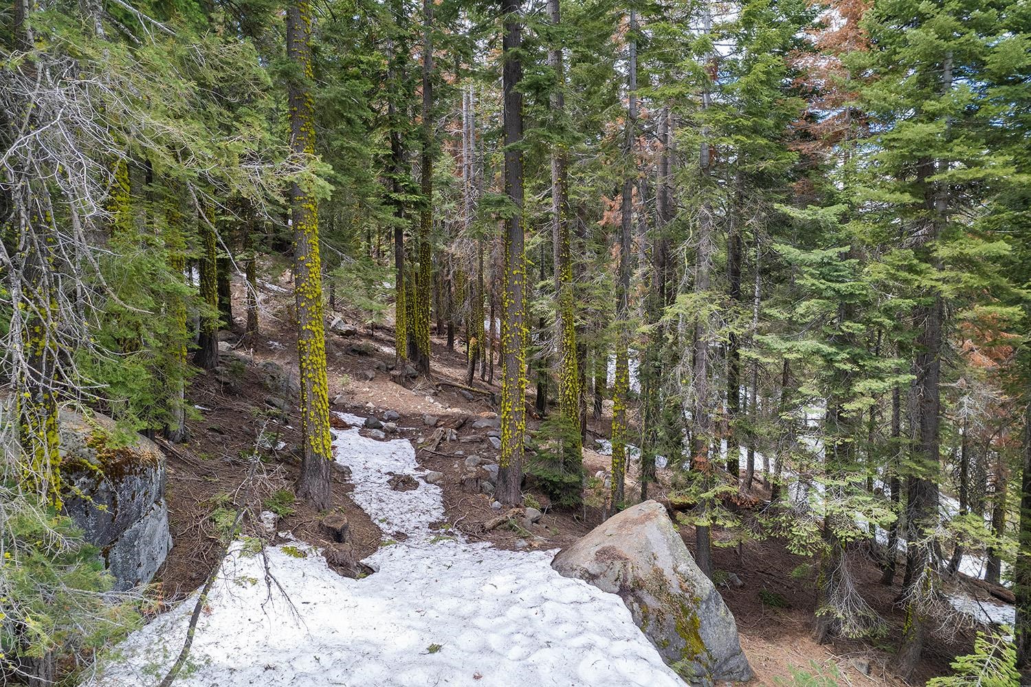 14601 Mt Judah Drive Truckee, CA 96161 - Photo 18 of 21 a view of an outdoor space