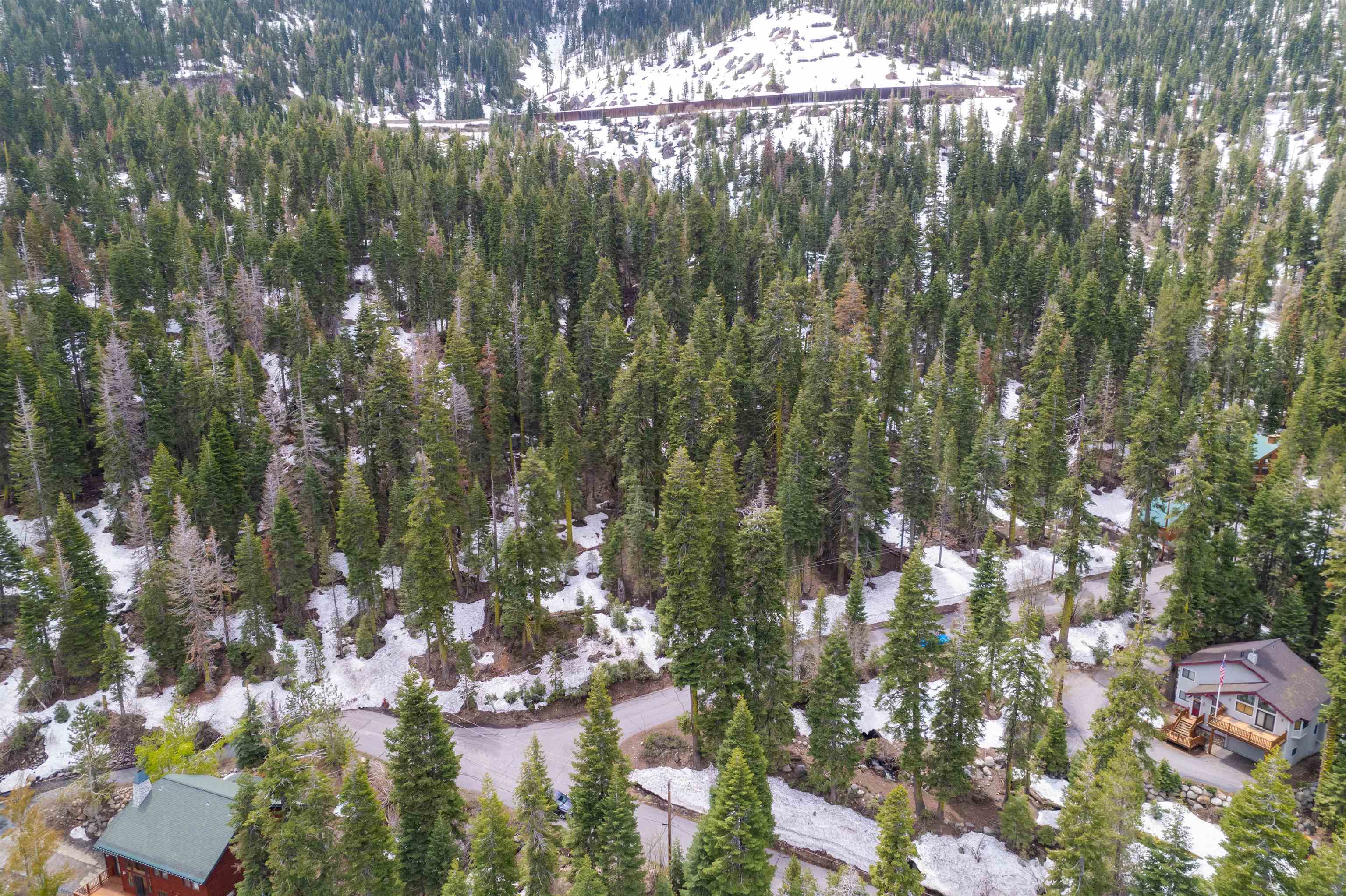 14601 Mt Judah Drive Truckee, CA 96161 - Photo 20 of 21 a view of a tree