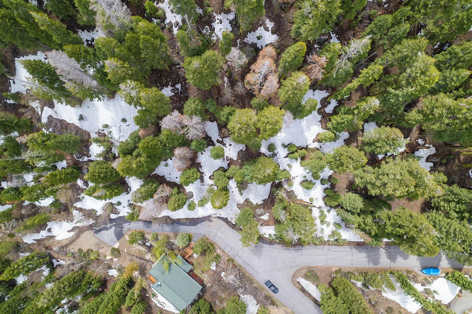 14601 Mt Judah Drive Truckee, CA 96161 - Photo 3 of 21 a view of flowers in a garden