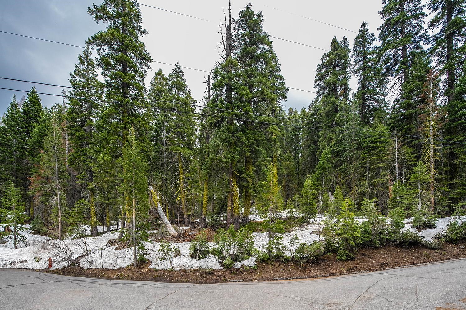 14601 Mt Judah Drive Truckee, CA 96161 - Photo 4 of 21 a backyard of a house with trees and houses