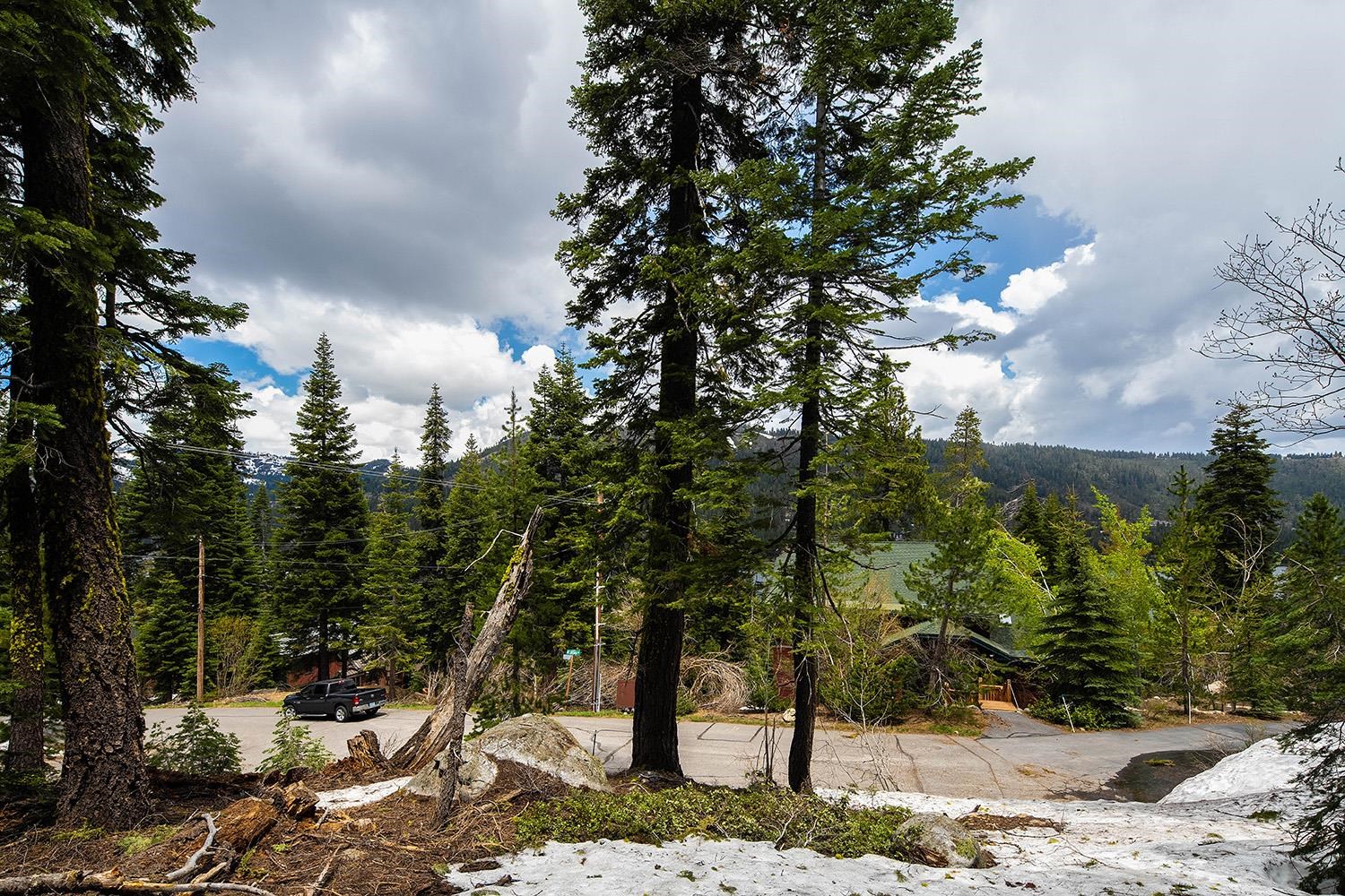 14601 Mt Judah Drive Truckee, CA 96161 - Photo 8 of 21 a view of a yard with plants and trees