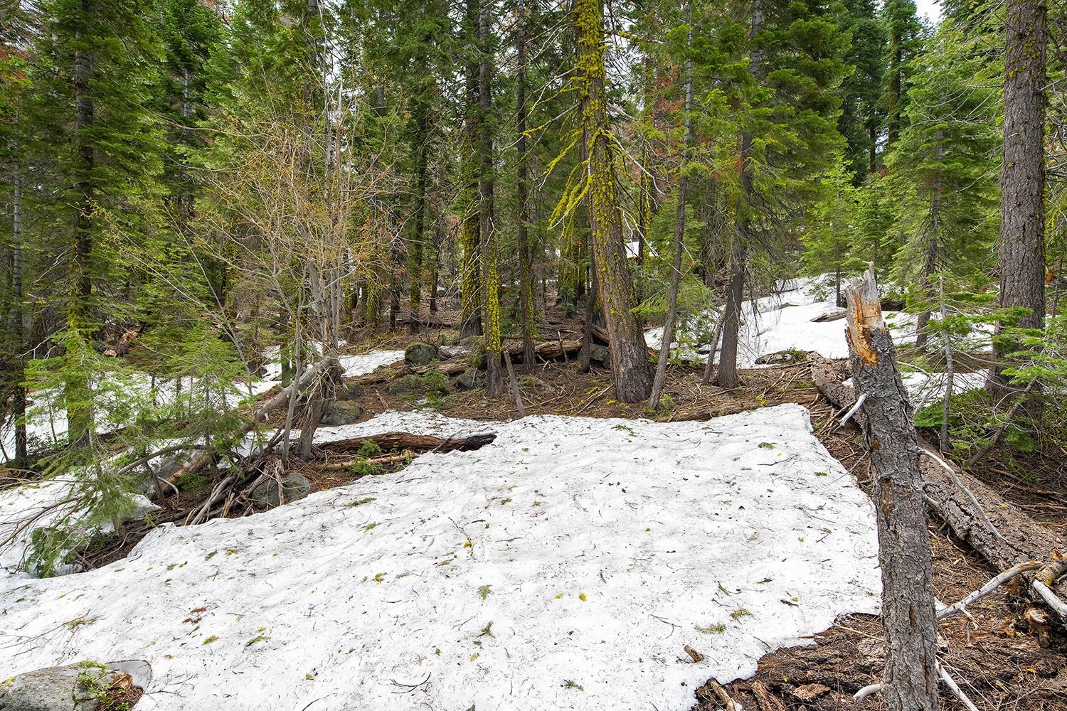 14601 Mt Judah Drive Truckee, CA 96161 - Photo 9 of 21 a view of a backyard of a house