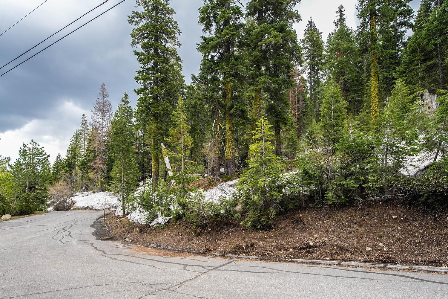 14601 Mt Judah Drive Truckee, CA 96161 - Photo 10 of 21 a pathway of a yard