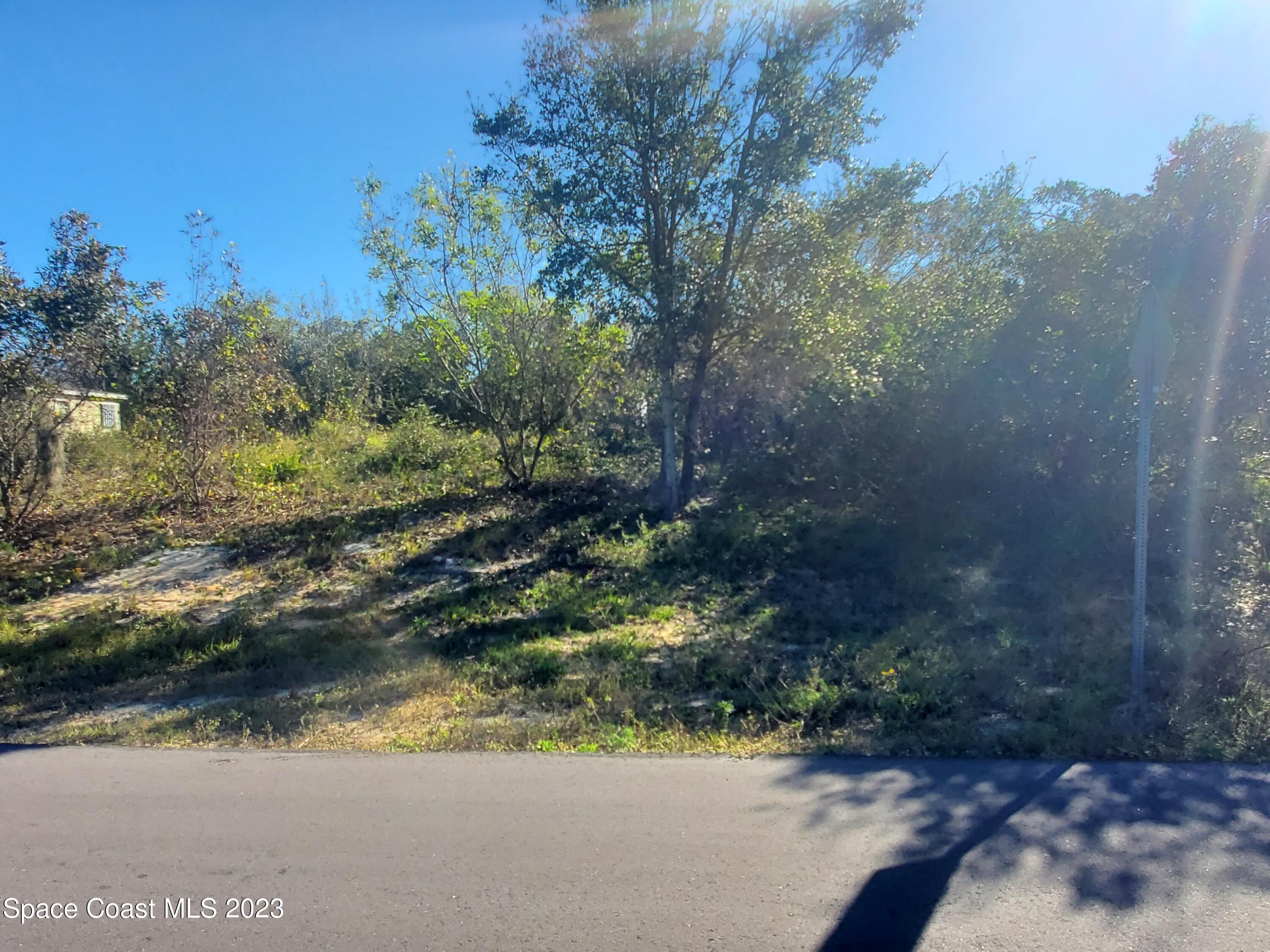a view of a yard with a tree