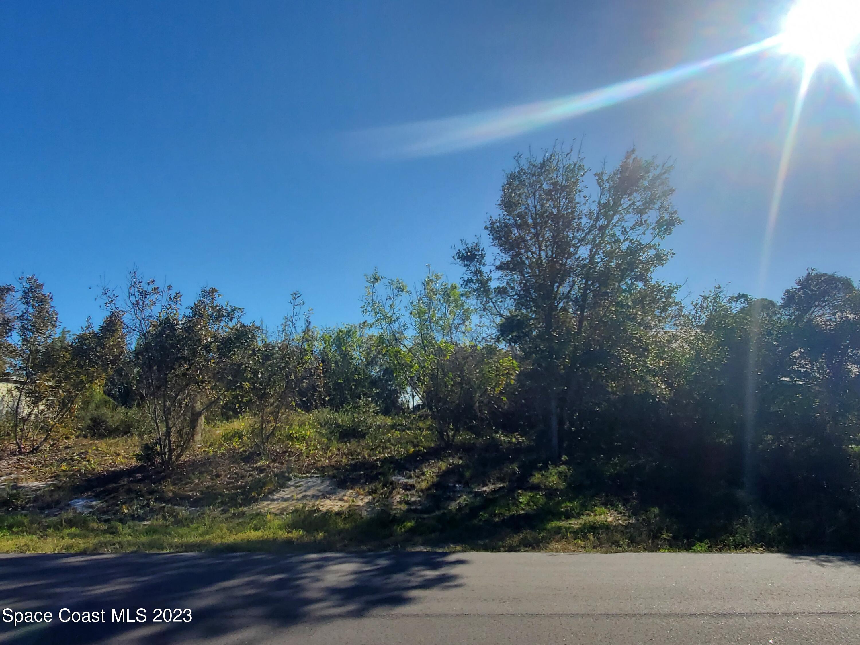 Lot#2 13th Street Micco, FL 32976 - Photo 2 of 3 a view of a yard