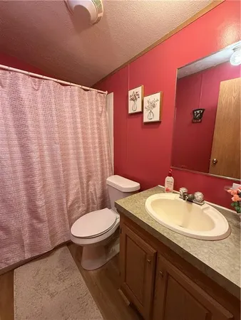 a bathroom with a sink a toilet a mirror and shower curtain