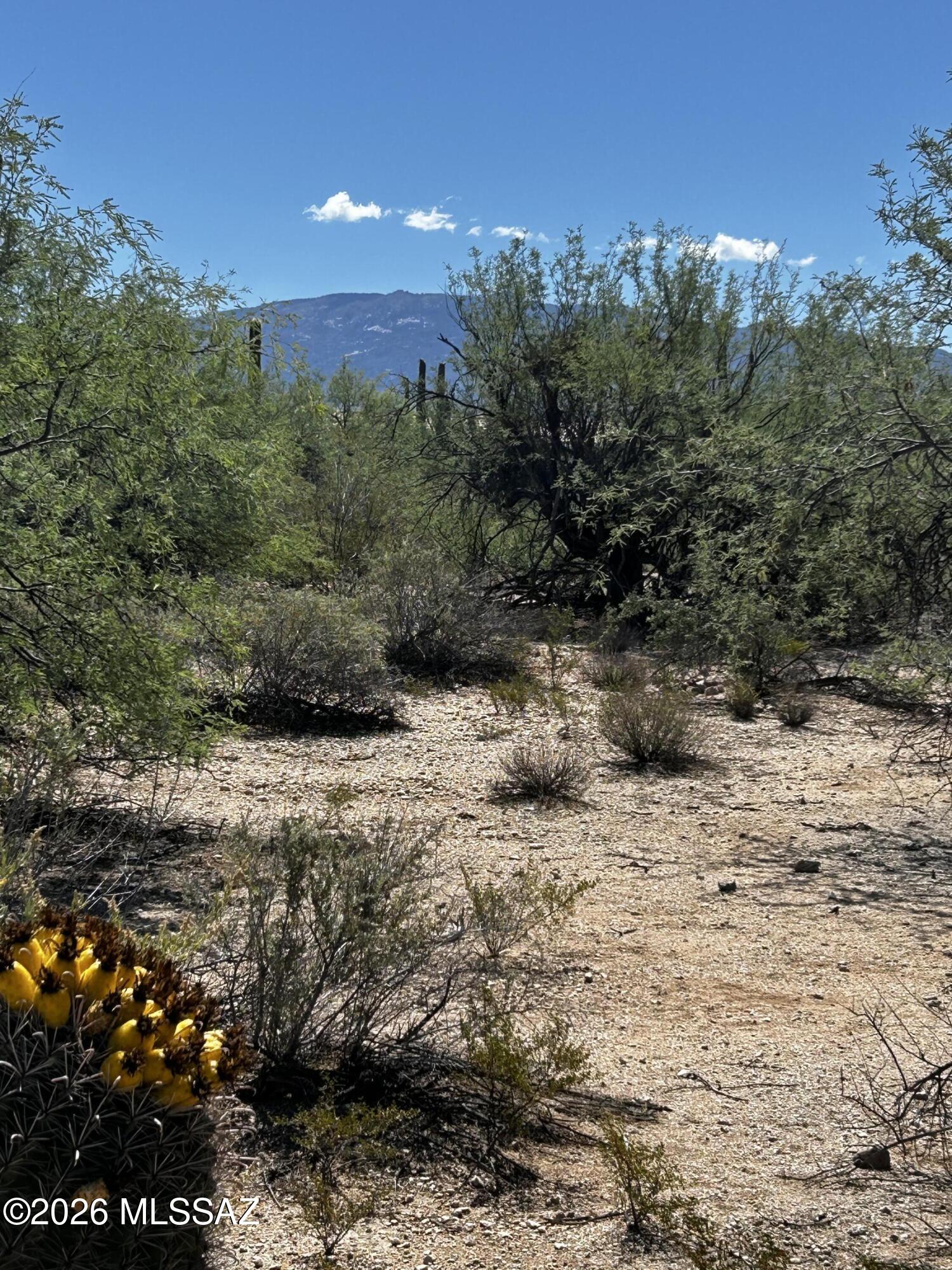 East Roger Road, Unit 46 Tucson, AZ 85749 - Photo 35 of 38