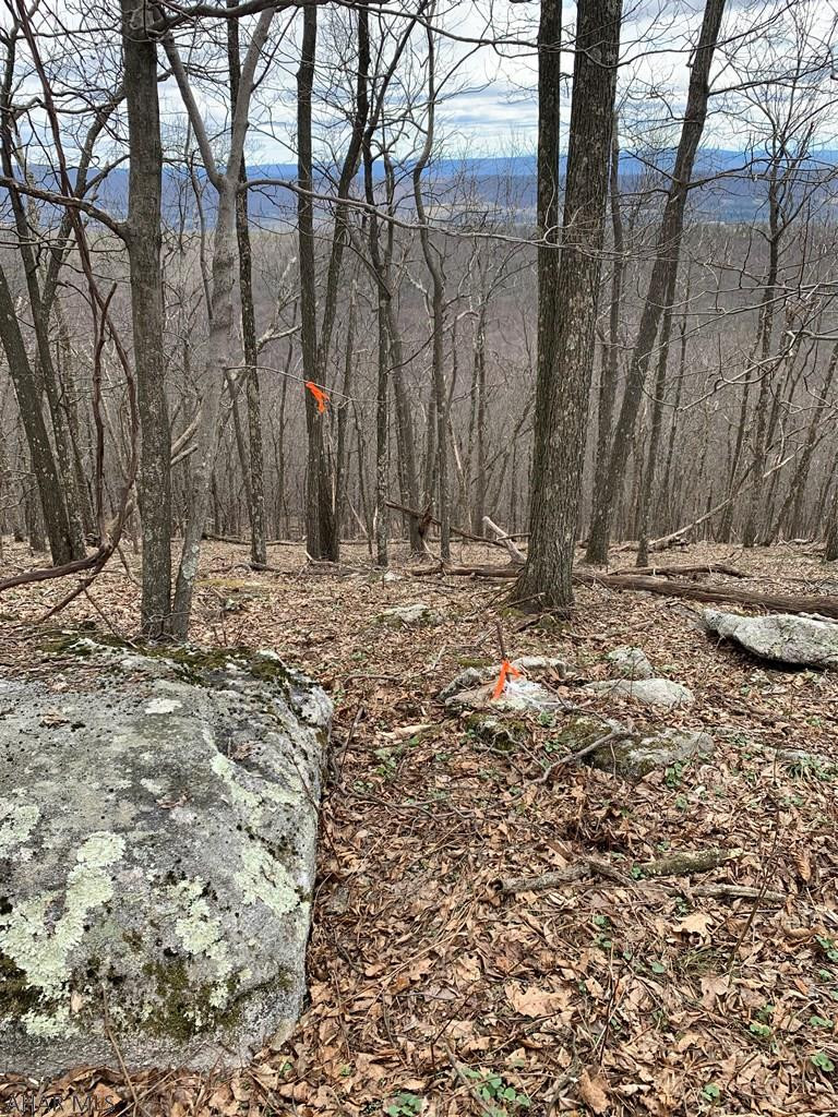 Lot 5 Monroe Mountain Road Clearville, PA 15535 - Photo 14 of 31 Gallery Image 14