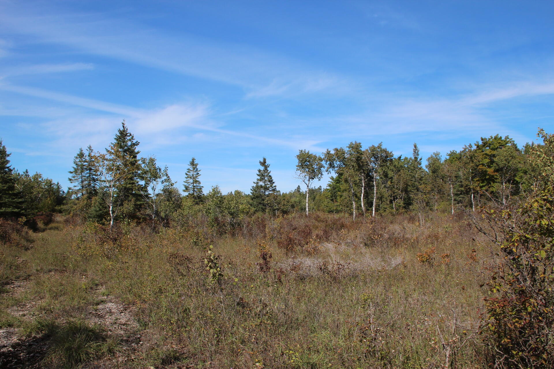 East Hamilton Road Alpena, MI 49707 - Photo 1 of 17 IMG_0558