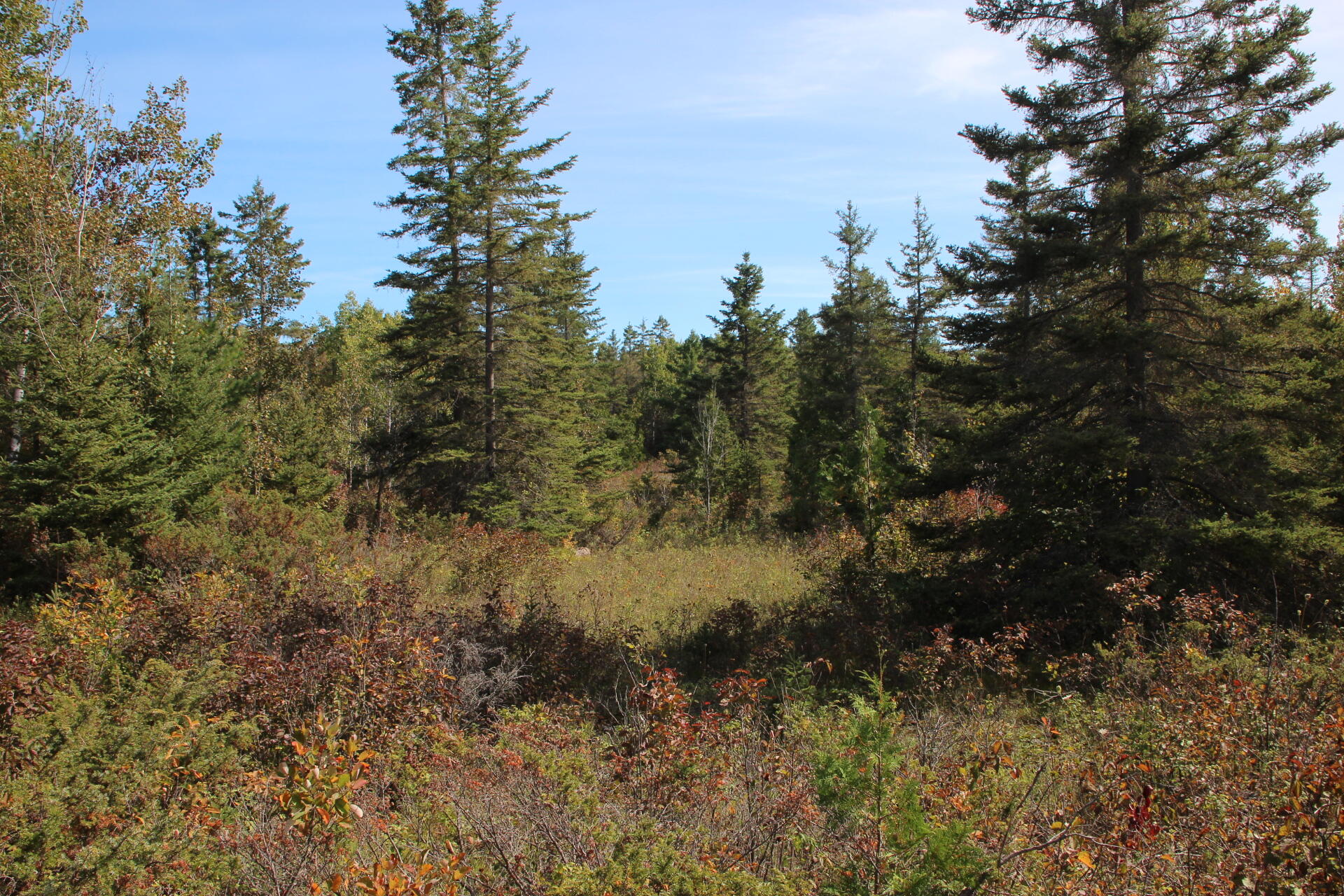East Hamilton Road Alpena, MI 49707 - Photo 11 of 17 IMG_0576