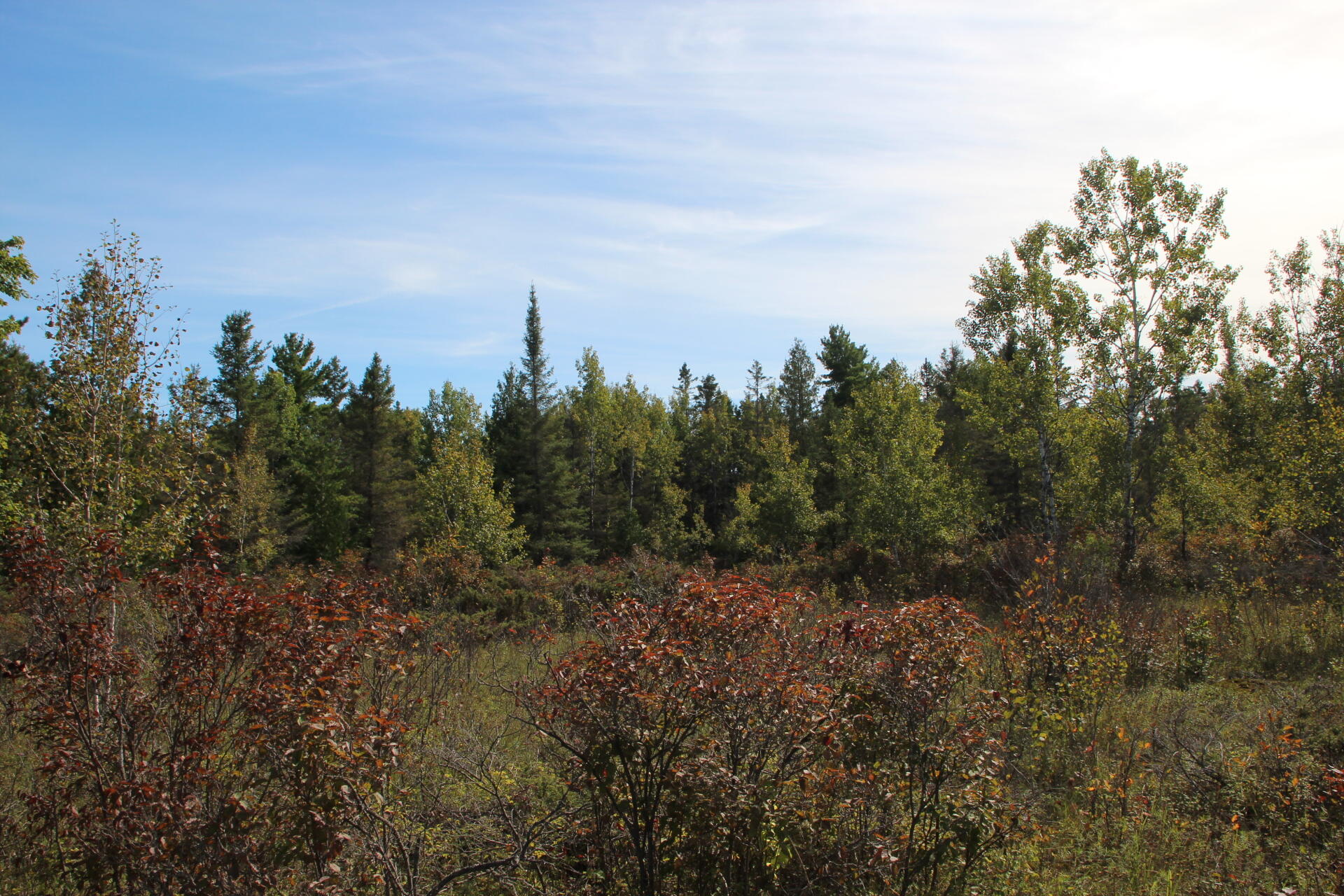 East Hamilton Road Alpena, MI 49707 - Photo 13 of 17 IMG_0578