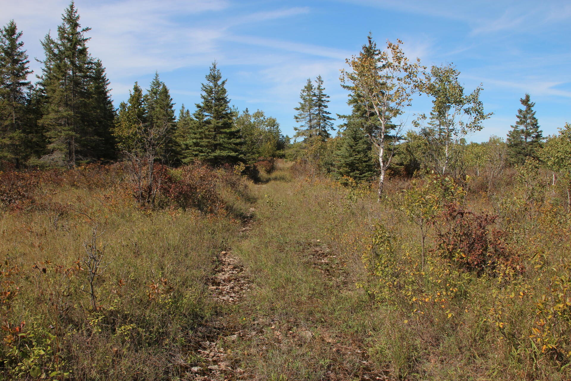 East Hamilton Road Alpena, MI 49707 - Photo 2 of 17 IMG_0559