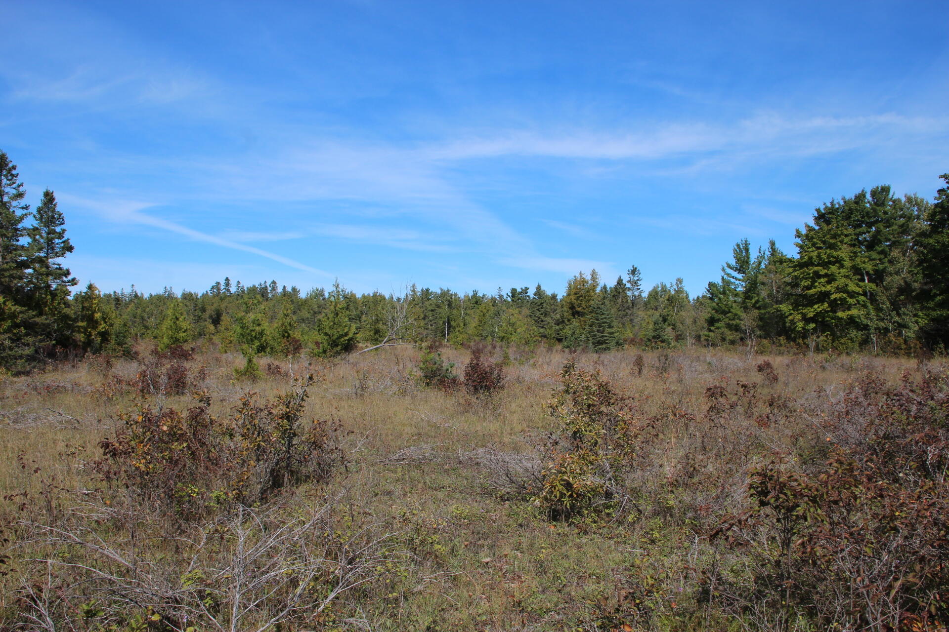 East Hamilton Road Alpena, MI 49707 - Photo 3 of 17 IMG_0560