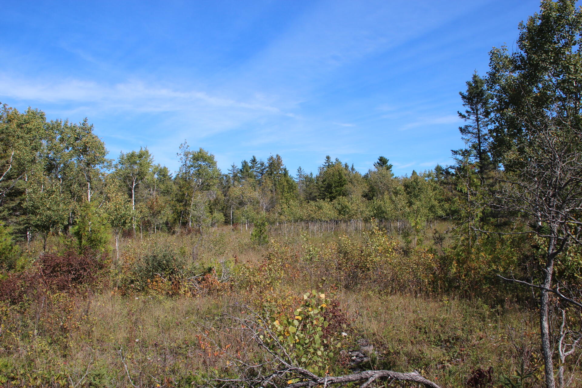 East Hamilton Road Alpena, MI 49707 - Photo 4 of 17 IMG_0562