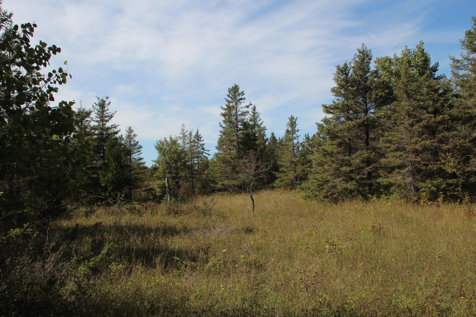 East Hamilton Road Alpena, MI 49707 - Photo 5 of 17 IMG_0564