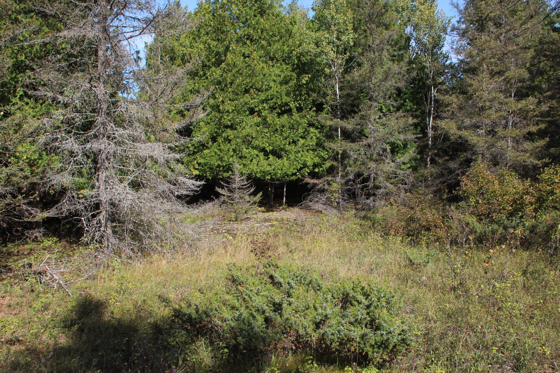 East Hamilton Road Alpena, MI 49707 - Photo 8 of 17 IMG_0568