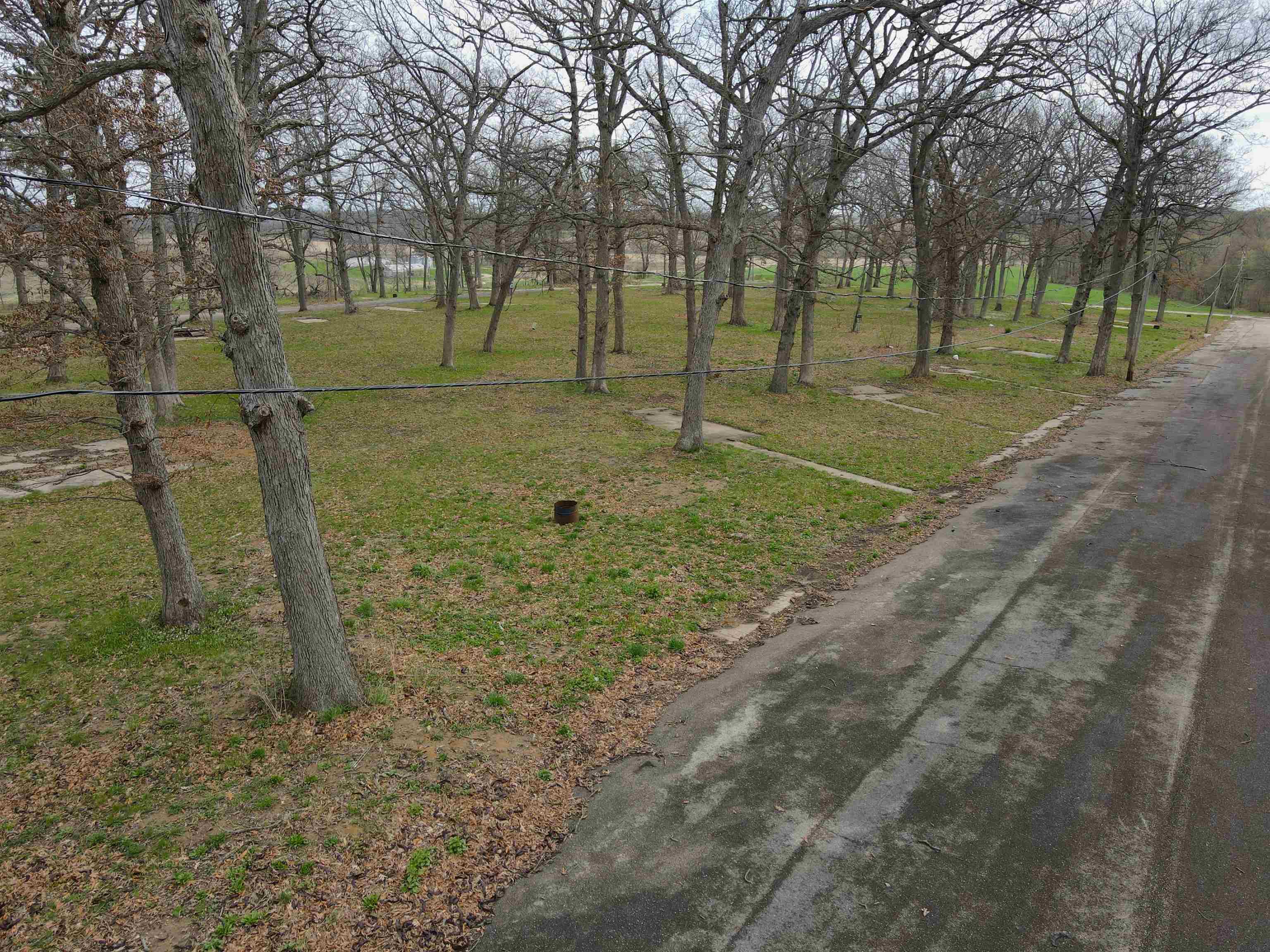 4500 East River Road Ridott, IL 61067 - Photo 36 of 54 a view of a tree in a yard