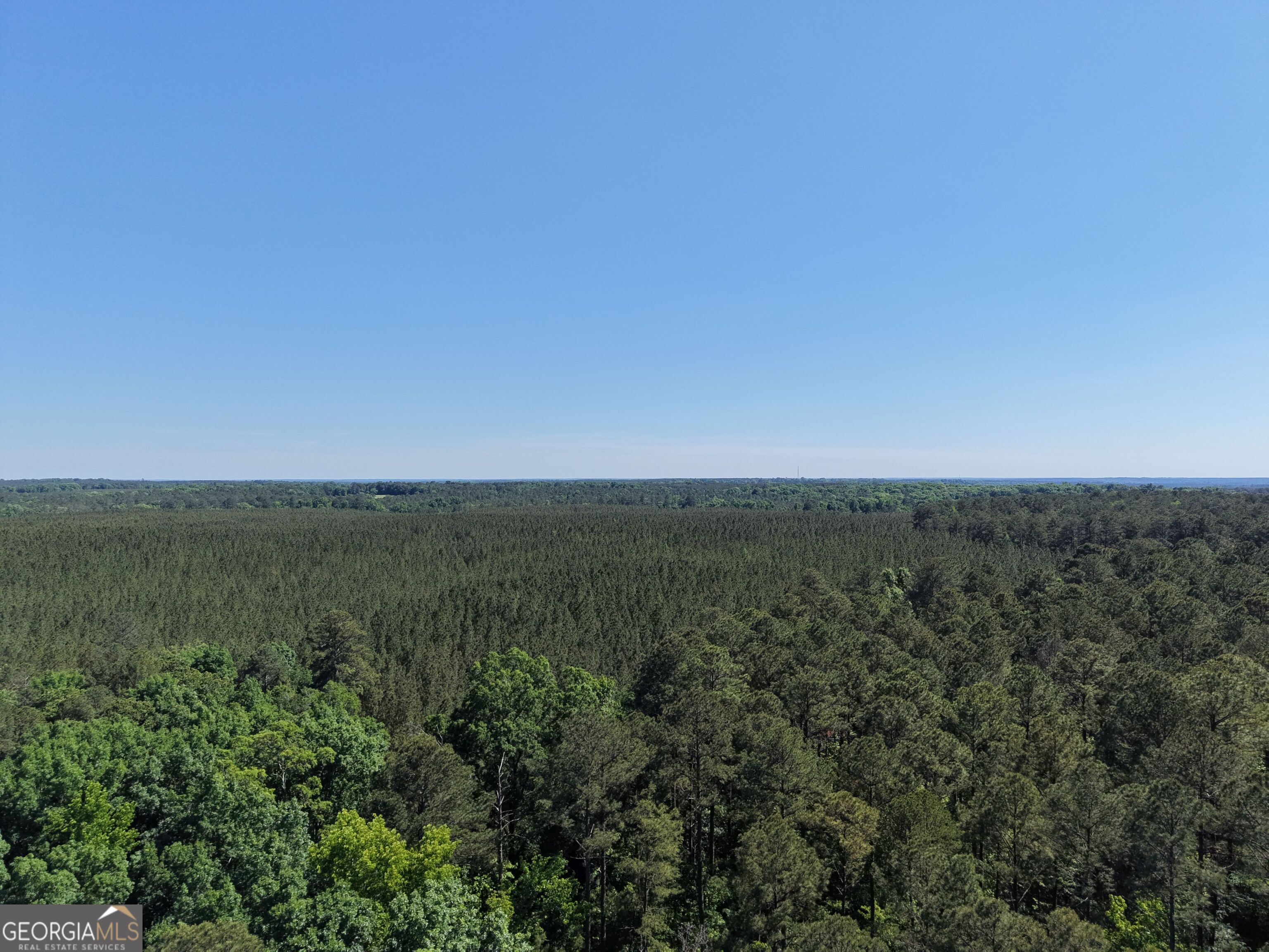 580 Saggus Road Washington, GA 30673 - Photo 46 of 54