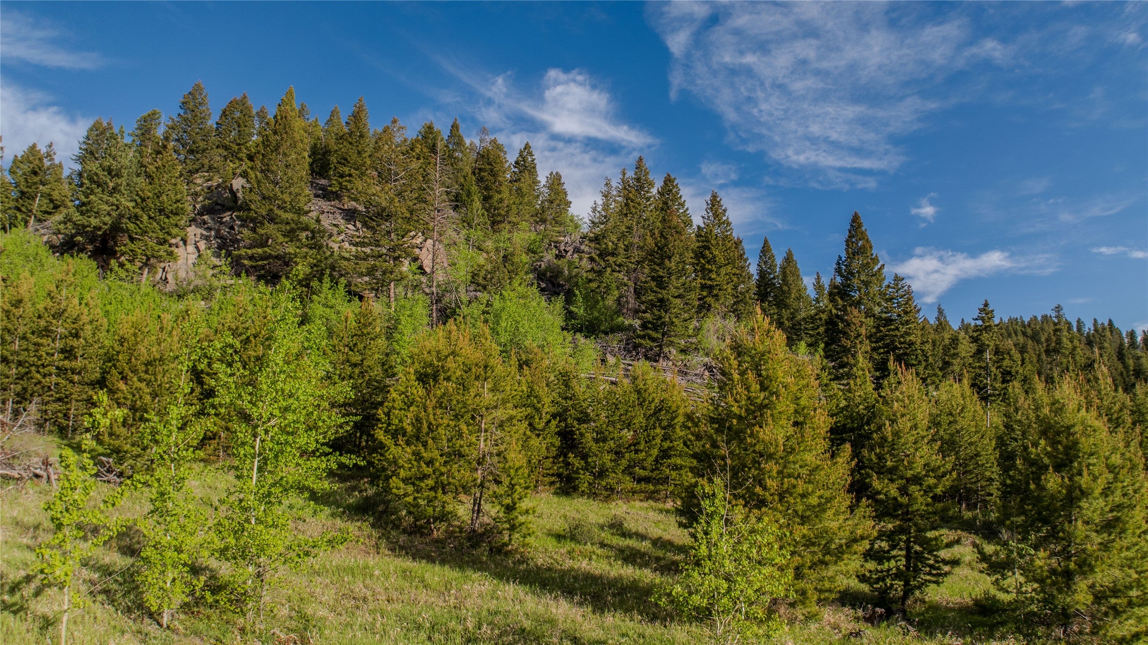 72 Big Indian Gulch Road Clancy, MT 59634 - Photo 5 of 28 Gallery Image 5