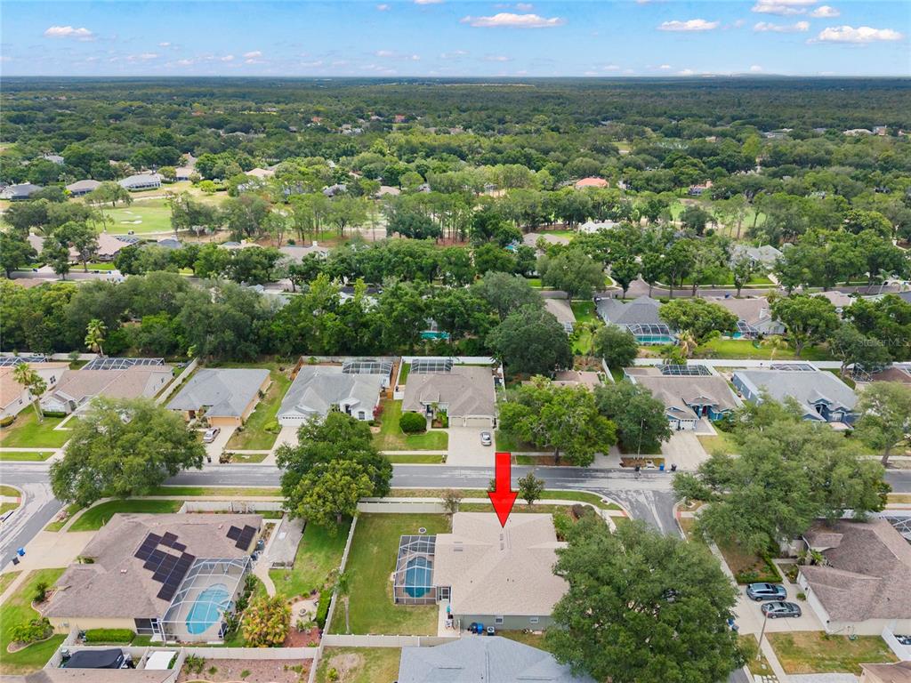 4038 Lithia Ridge Boulevard Valrico, FL 33596 - Photo 36 of 47