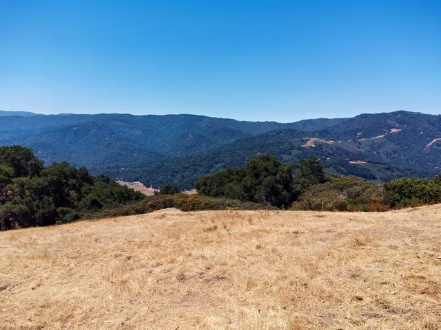 a view of a yard covered with snow in front of house