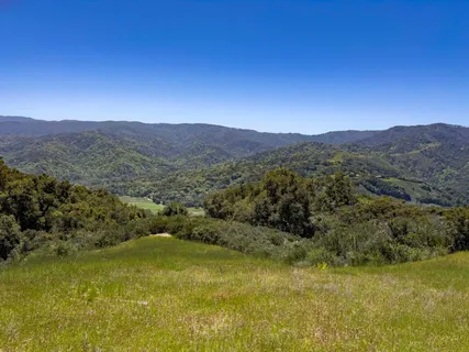 a view of a lush green hillside and a houses