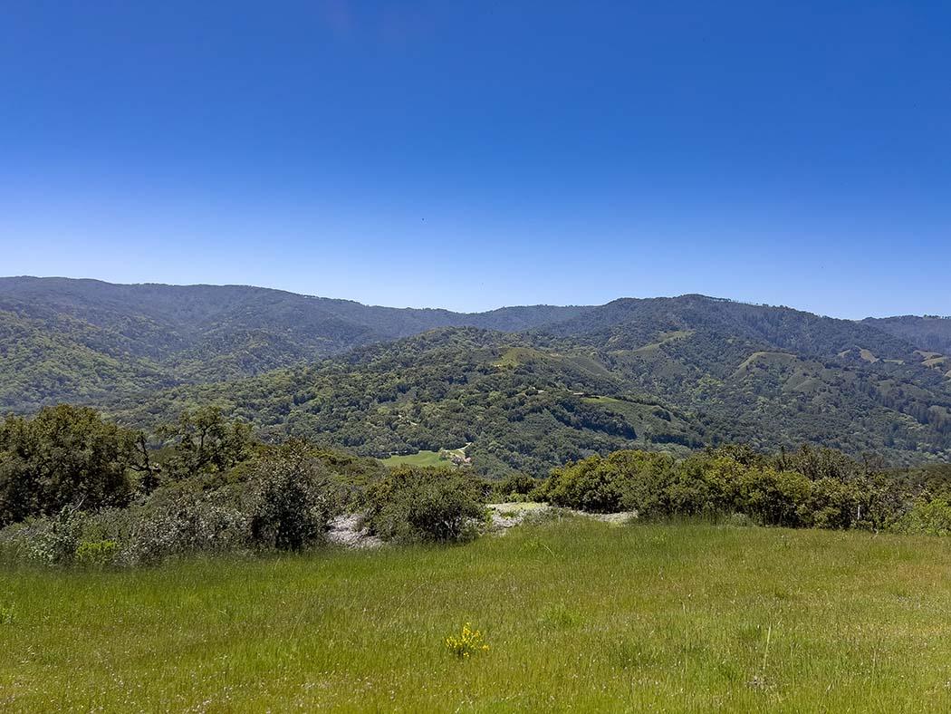 57 Chamisal Pass Carmel, CA 93923 - Photo 16 of 17 a view of a lush green hillside and a houses