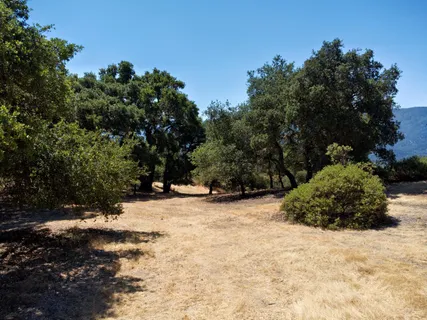 a view of a snow in the middle of a yard